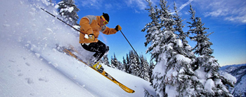 alpin